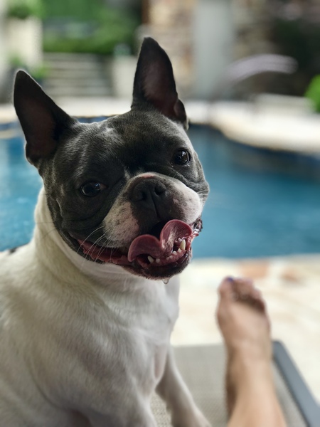 Chloe Mae