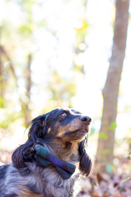 Mr. Cooper