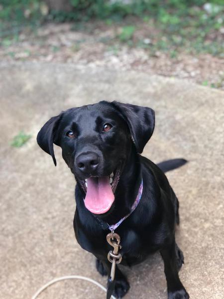 Lola