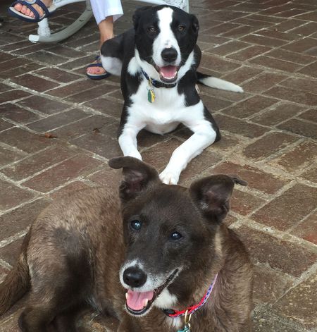 Maggie & Samantha Hulser-Hoover