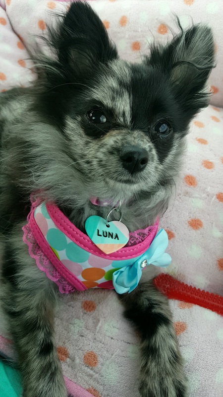 Luna