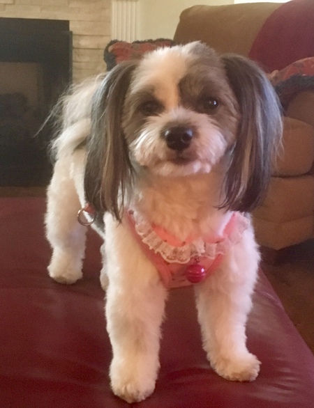 Zoey