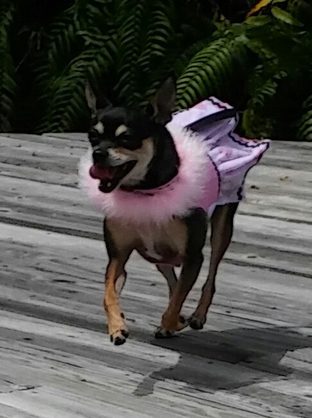 Minnie Mouse