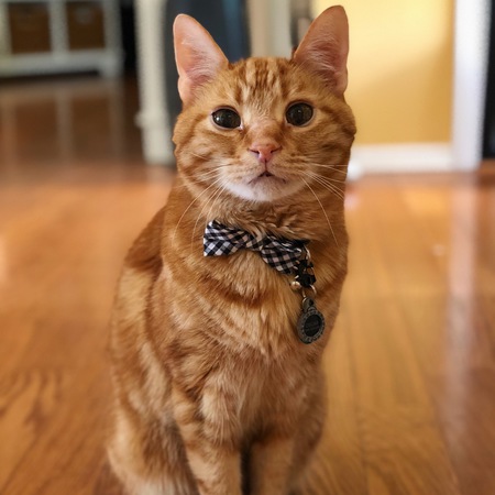 Oscar