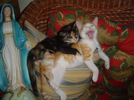 Margie & Red Red....brother and sister