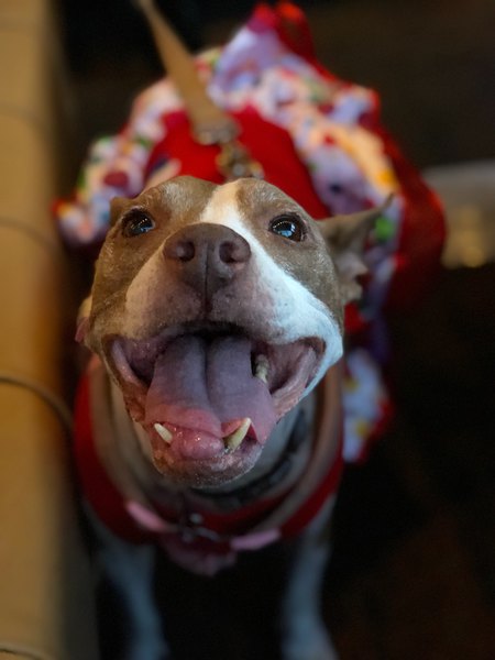 Chloe