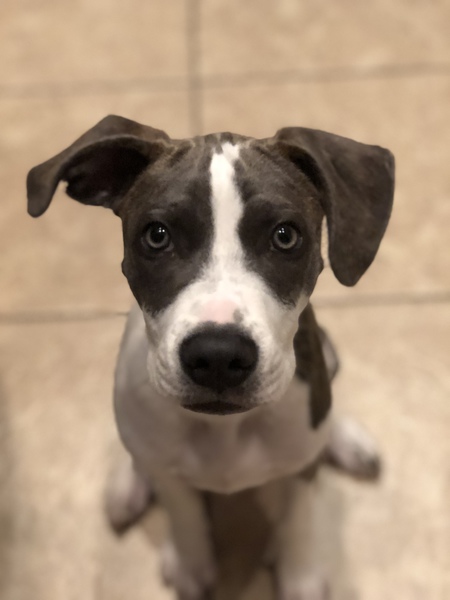 Marley