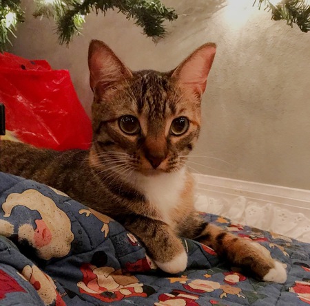 Rosie Mae 