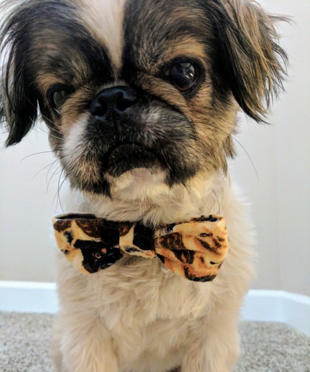 Ralphy