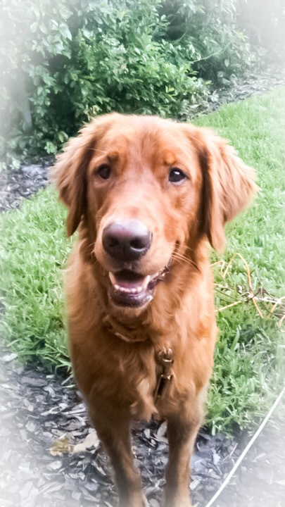 Spencer 