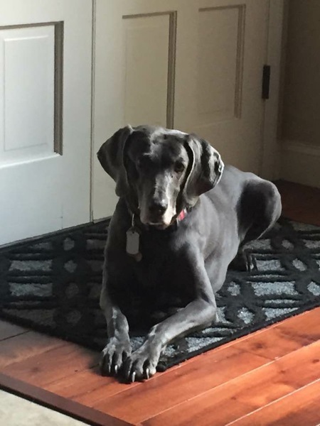 Bella