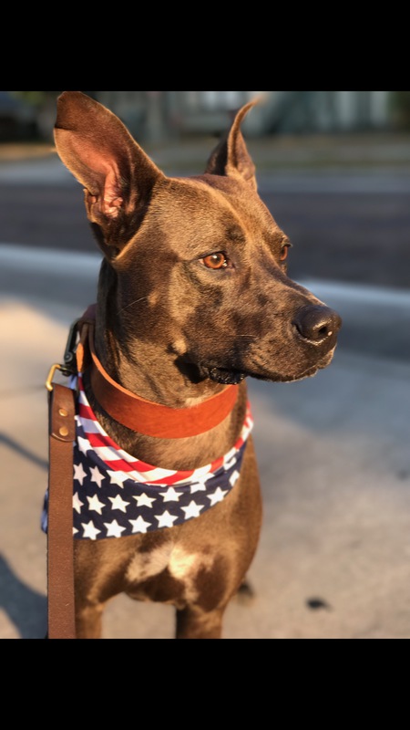Porter