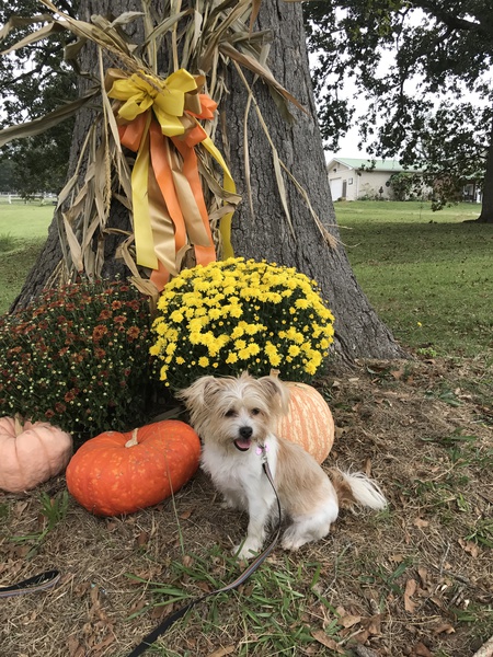 Darby