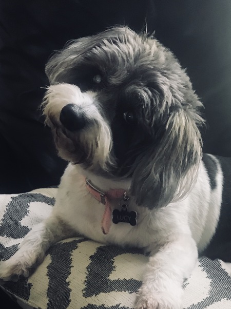 Lucy
