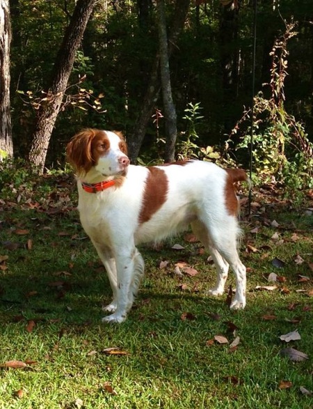 Gunner Fussell