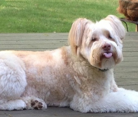 Murphy