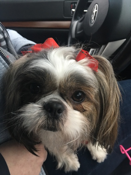 Penelope
