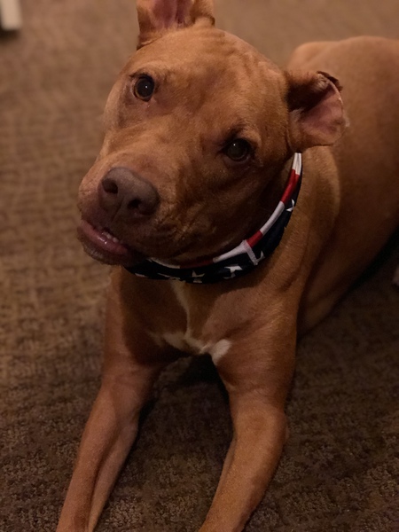 Hamish