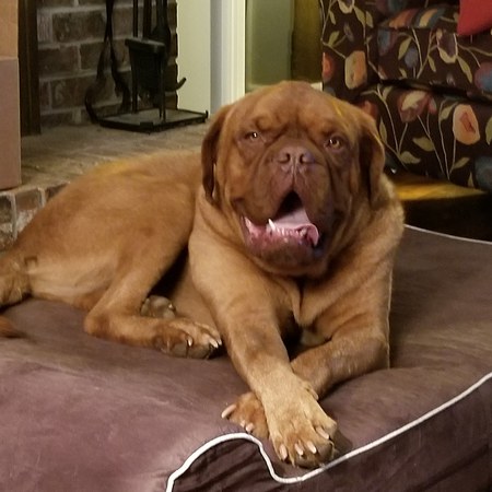 Hooch