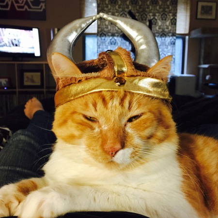 Sir Francis Bacon (Frankie)
