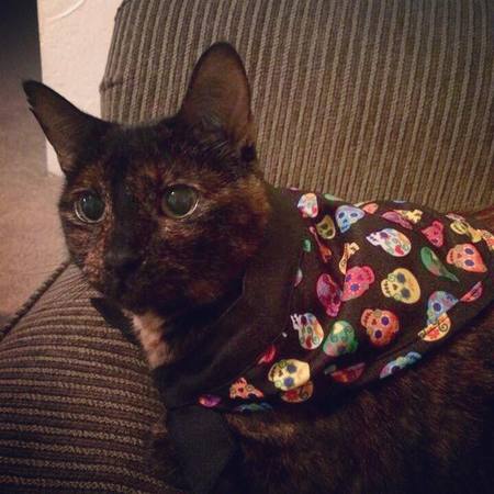 Princess Wheezy
