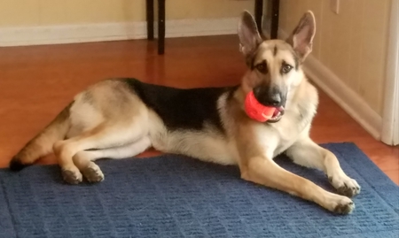 Kade