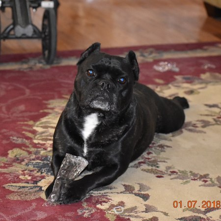 Sadie Mae