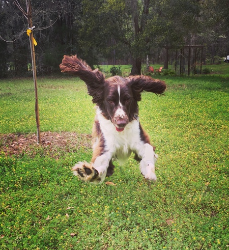 Maggie