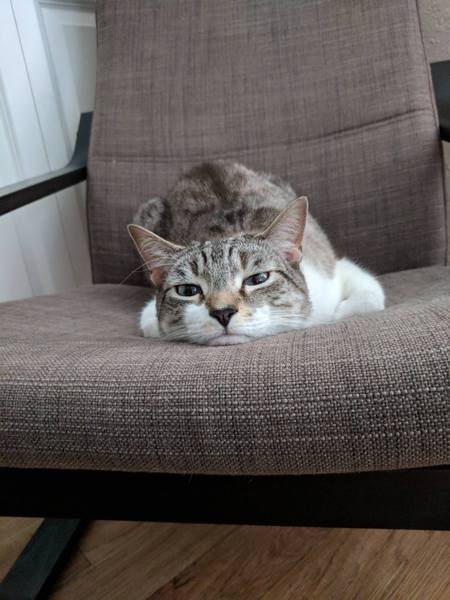 Oliver