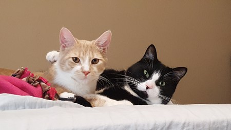 Oscar and Felix