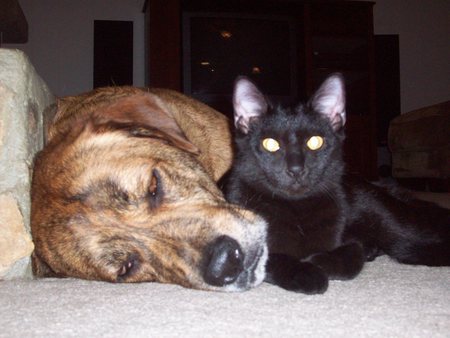 Doak and Buster