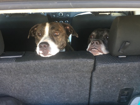 Aunt Bea and Trooper