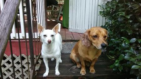 Ernie and Sasha