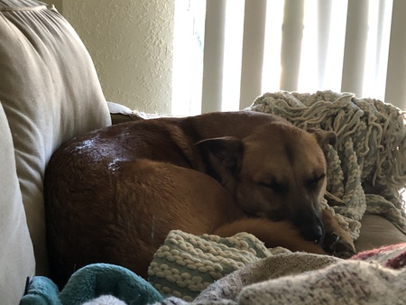 Zuko