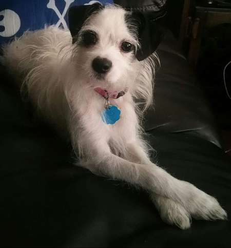 Lucy