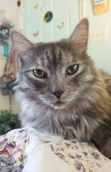 Lucy