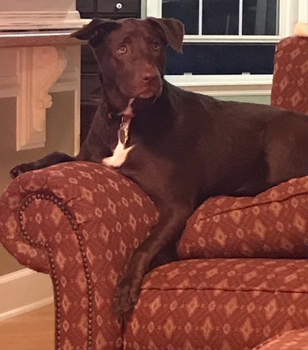 LuLu