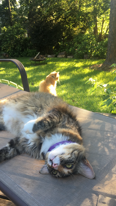 Itsybits & Baby 