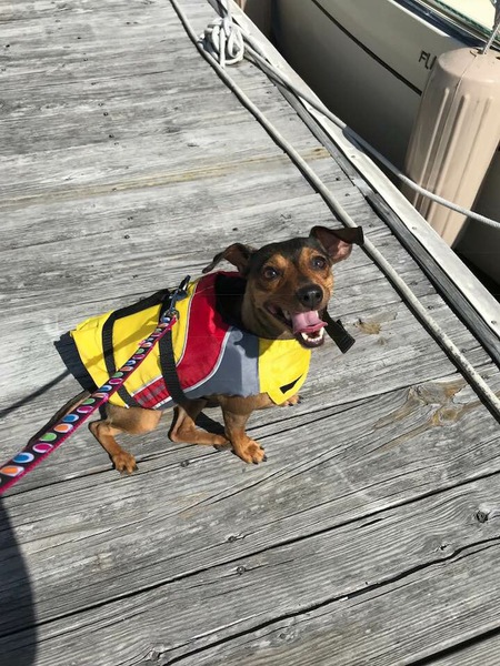 Roki 