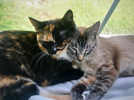 Tinker and Frederick