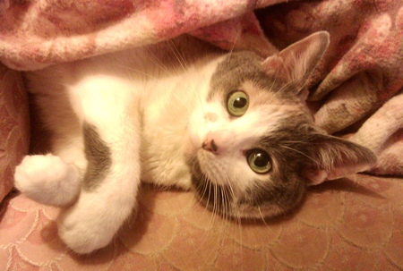 Elizabeth