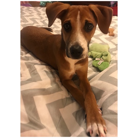 Benny