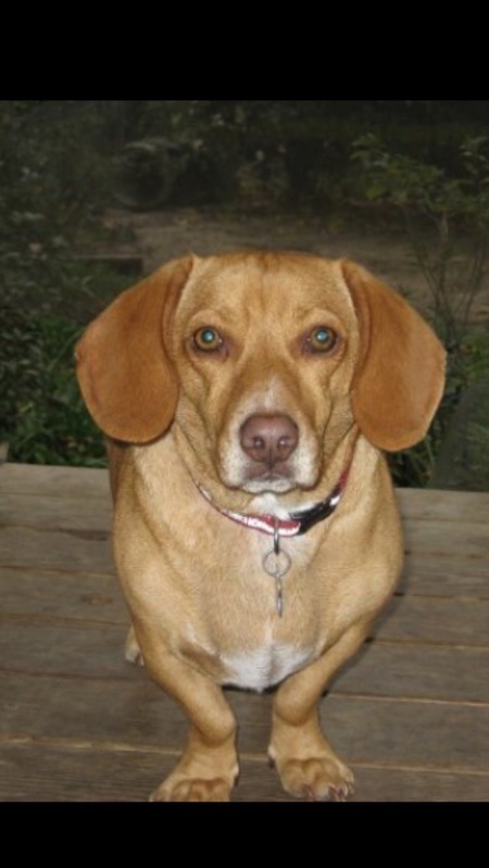 Charlie