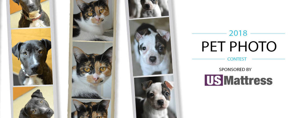 Banner for 2018 Michigan Humane Society Photo Contest