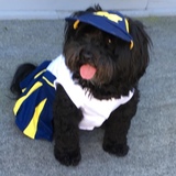 Entry image for Millie