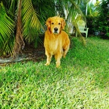 Entry image for Baxter 