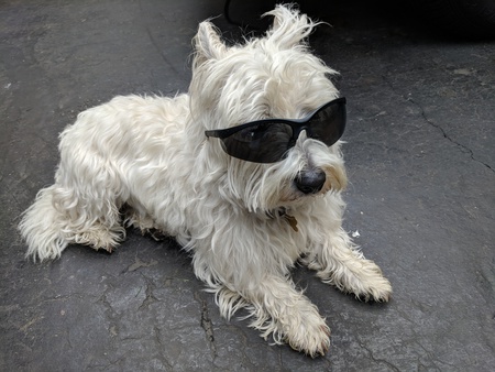 Entry image for Duffy. Clicking this image will show a larger photo