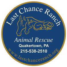 Logo for Last Chance Ranch 2019 Calendar
