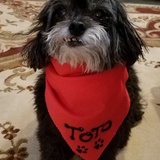 Entry image for Toto
