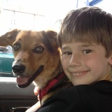 Entry image for Tipper (formerly Rosy)